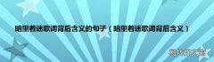 暗里着迷歌词背后含义 暗里着迷歌词背后含义的句子