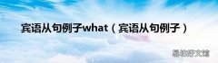 宾语从句例子 宾语从句例子what