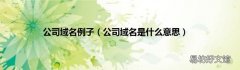 公司域名是什么意思 公司域名例子