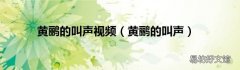 黄鹂的叫声 黄鹂的叫声视频