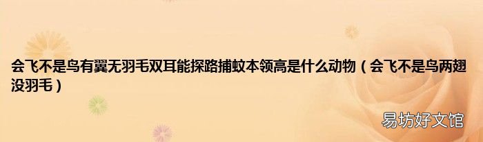 会飞不是鸟两翅没羽毛 会飞不是鸟有翼无羽毛双耳能探路捕蚊本领高是什么动物