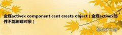 金蝶activex部件不能创建对象 金蝶activex component cant create object