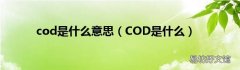 COD是什么 cod是什么意思