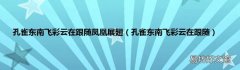 孔雀东南飞彩云在跟随 孔雀东南飞彩云在跟随凤凰展翅