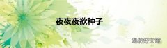 夜夜夜欲种子