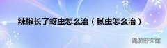 腻虫怎么治 辣椒长了蚜虫怎么治