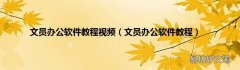 文员办公软件教程 文员办公软件教程视频