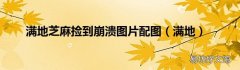满地 满地芝麻捡到崩溃图片配图