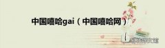 中国嘻哈网 中国嘻哈gai
