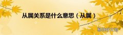 从属 从属关系是什么意思