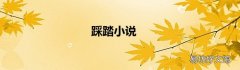 踩踏小说