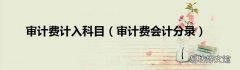审计费会计分录 审计费计入科目