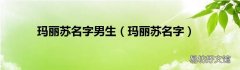 玛丽苏名字 玛丽苏名字男生
