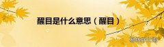 醒目 醒目是什么意思