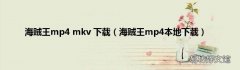 海贼王mp4本地下载 海贼王mp4 mkv 下载