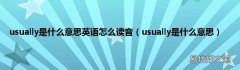 usually是什么意思 usually是什么意思英语怎么读音