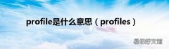 profiles profile是什么意思