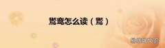 鸑 鸑鸾怎么读