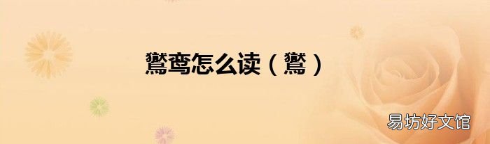 鸑 鸑鸾怎么读