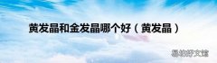 黄发晶 黄发晶和金发晶哪个好