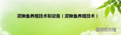 泥鳅鱼养殖技术 泥鳅鱼养殖技术和设备