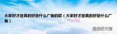 大家好才是真的好是什么广告 大家好才是真的好是什么广告的歌