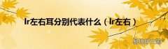 lr左右 lr左右耳分别代表什么