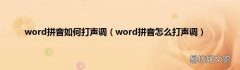 word拼音怎么打声调 word拼音如何打声调