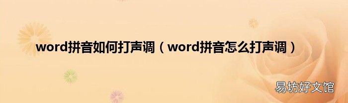 word拼音怎么打声调 word拼音如何打声调
