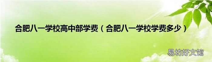 合肥八一学校学费多少 合肥八一学校高中部学费