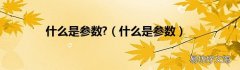 什么是参数 什么是参数?