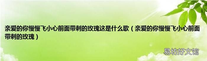 亲爱的你慢慢飞小心前面带刺的玫瑰 亲爱的你慢慢飞小心前面带刺的玫瑰这是什么歌