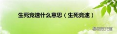 生死竞速 生死竞速什么意思