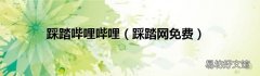 踩踏网免费 踩踏哔哩哔哩