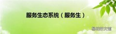 服务生 服务生态系统