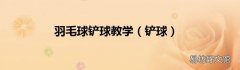 铲球 羽毛球铲球教学