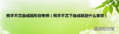 桃李不言下自成蹊是什么意思 桃李不言自成蹊形容老师