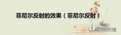 菲尼尔反射 菲尼尔反射的效果