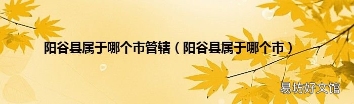 阳谷县属于哪个市 阳谷县属于哪个市管辖