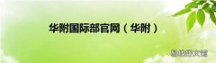 华附 华附国际部官网