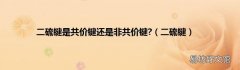 二硫键 二硫键是共价键还是非共价键?