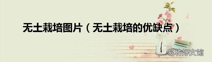 无土栽培的优缺点 无土栽培图片