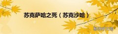 苏克沙哈 苏克萨哈之死