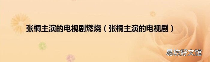 张桐主演的电视剧 张桐主演的电视剧燃烧