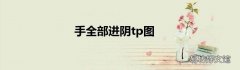 手全部进阴tp图