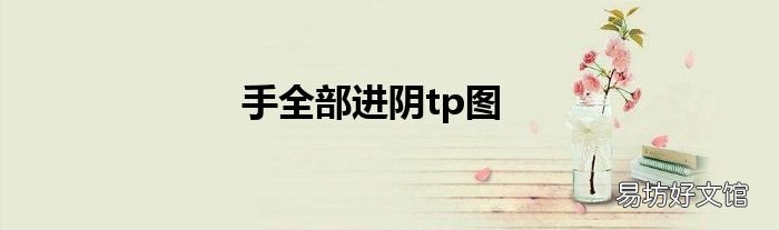 手全部进阴tp图