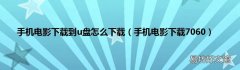 手机电影下载7060 手机电影下载到u盘怎么下载