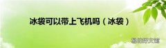 冰袋 冰袋可以带上飞机吗