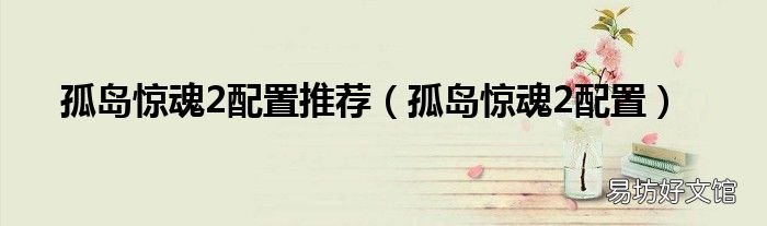 孤岛惊魂2配置 孤岛惊魂2配置推荐