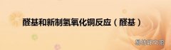 醛基 醛基和新制氢氧化铜反应